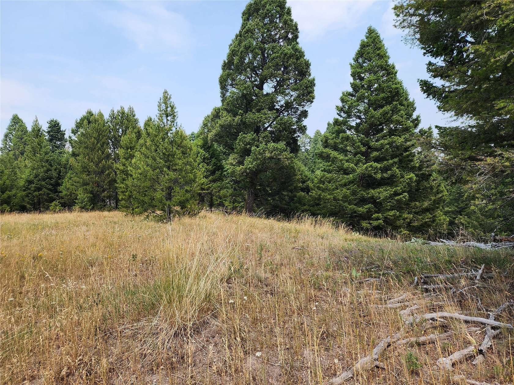 20 Acres of Recreational Land for Sale in Drummond, Montana