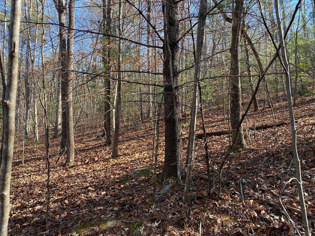 0.43 Acres of Residential Land for Sale in Blairsville, Georgia