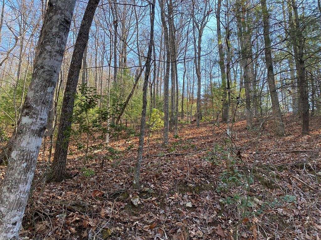 0.37 Acres of Residential Land for Sale in Blairsville, Georgia