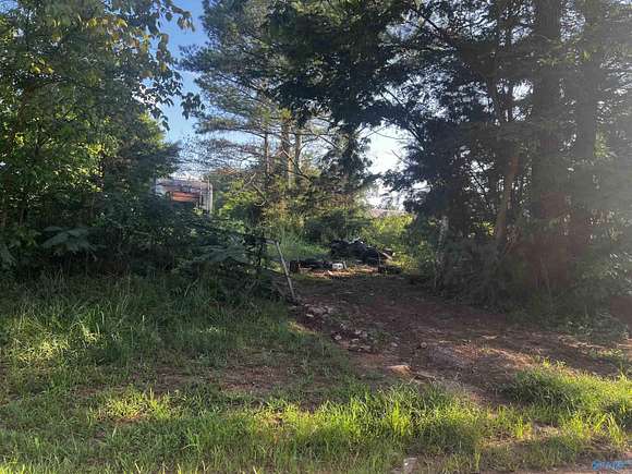 4.6 Acres of Residential Land with Home for Sale in Somerville, Alabama