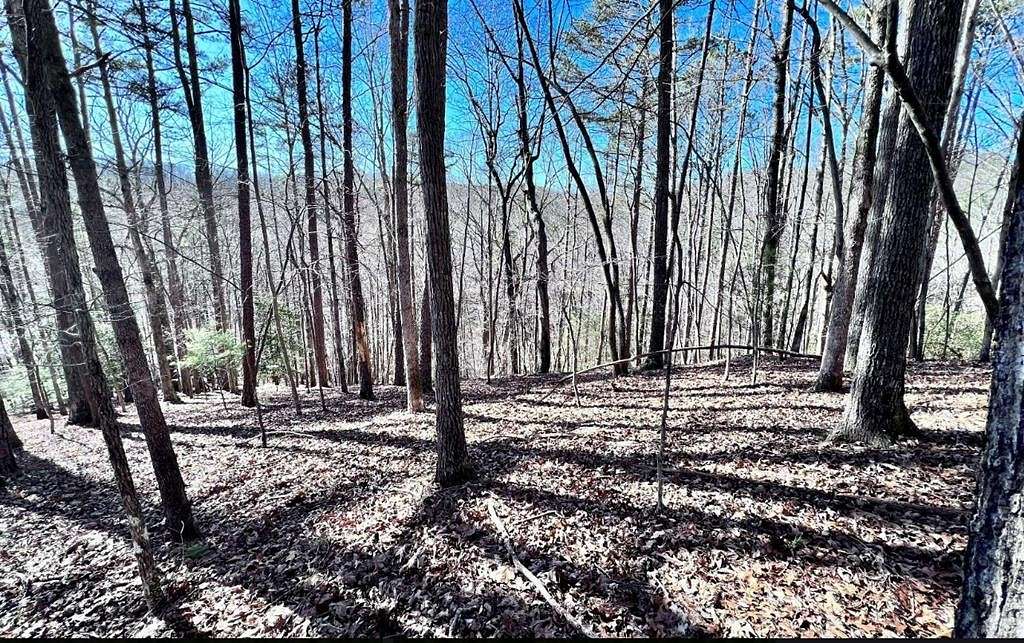 1.37 Acres of Land for Sale in Ellijay, Georgia