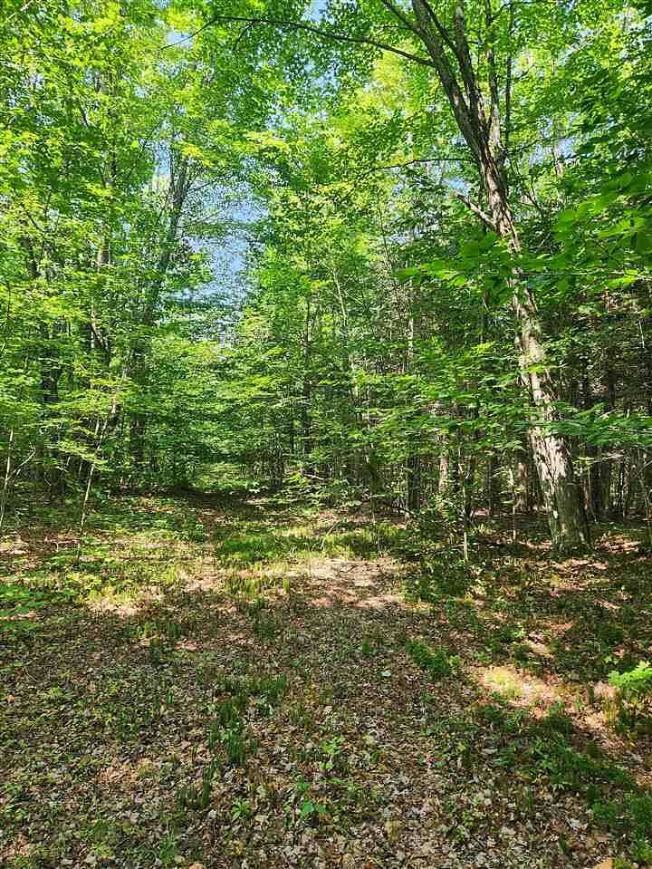 19.94 Acres of Recreational Land for Sale in Manistique, Michigan