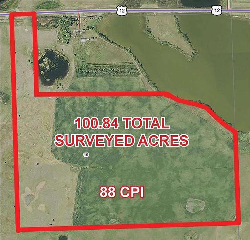 100.84 Acres of Agricultural Land for Auction in Odessa Township, Minnesota