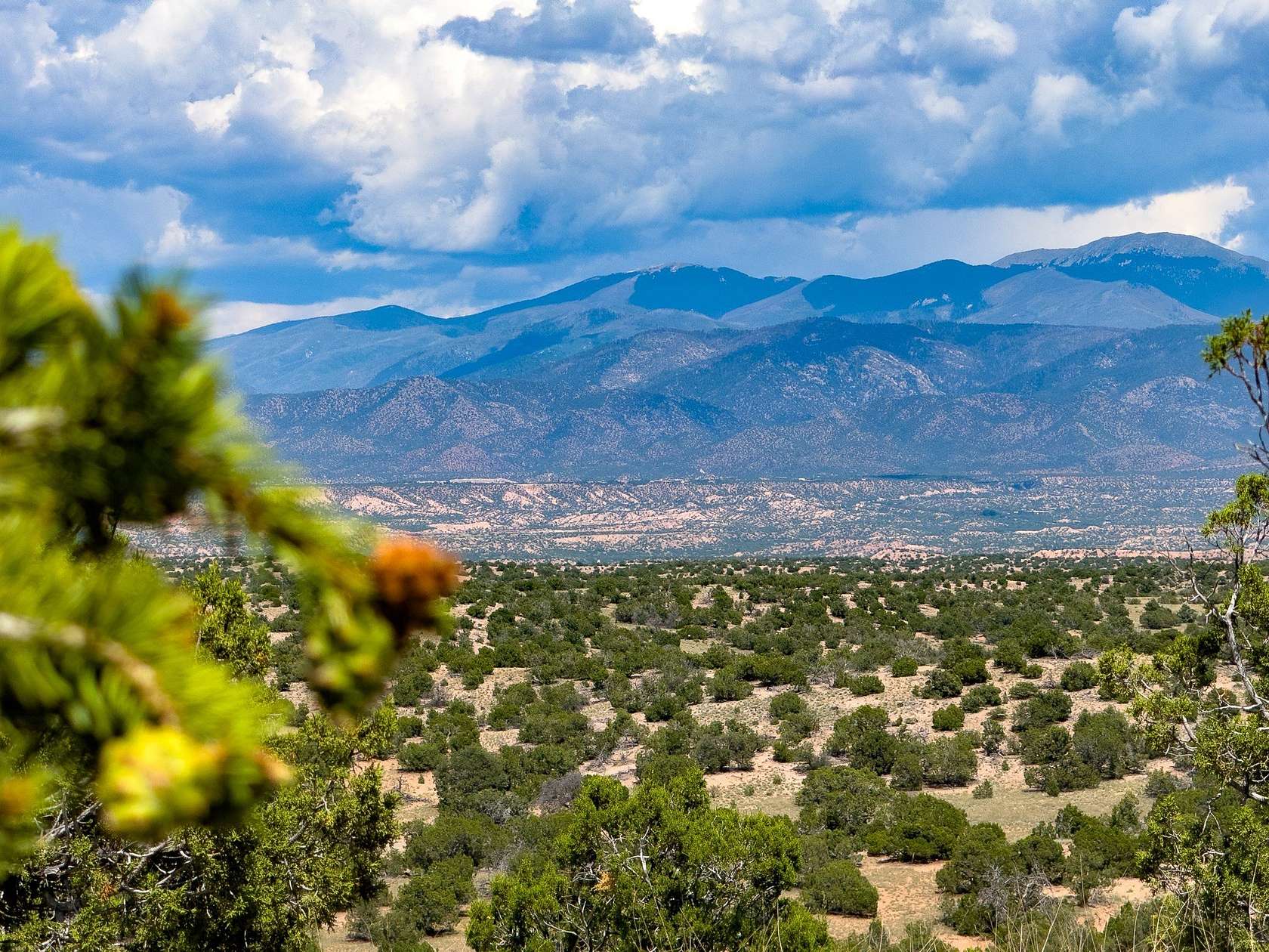 65.5 Acres of Agricultural Land for Sale in Santa Fe, New Mexico