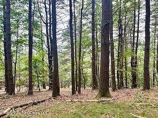 15.01 Acres of Recreational Land for Sale in Bearsville, New York