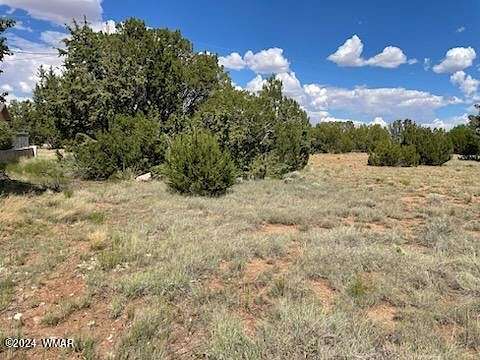 0.46 Acres of Residential Land for Sale in Concho, Arizona