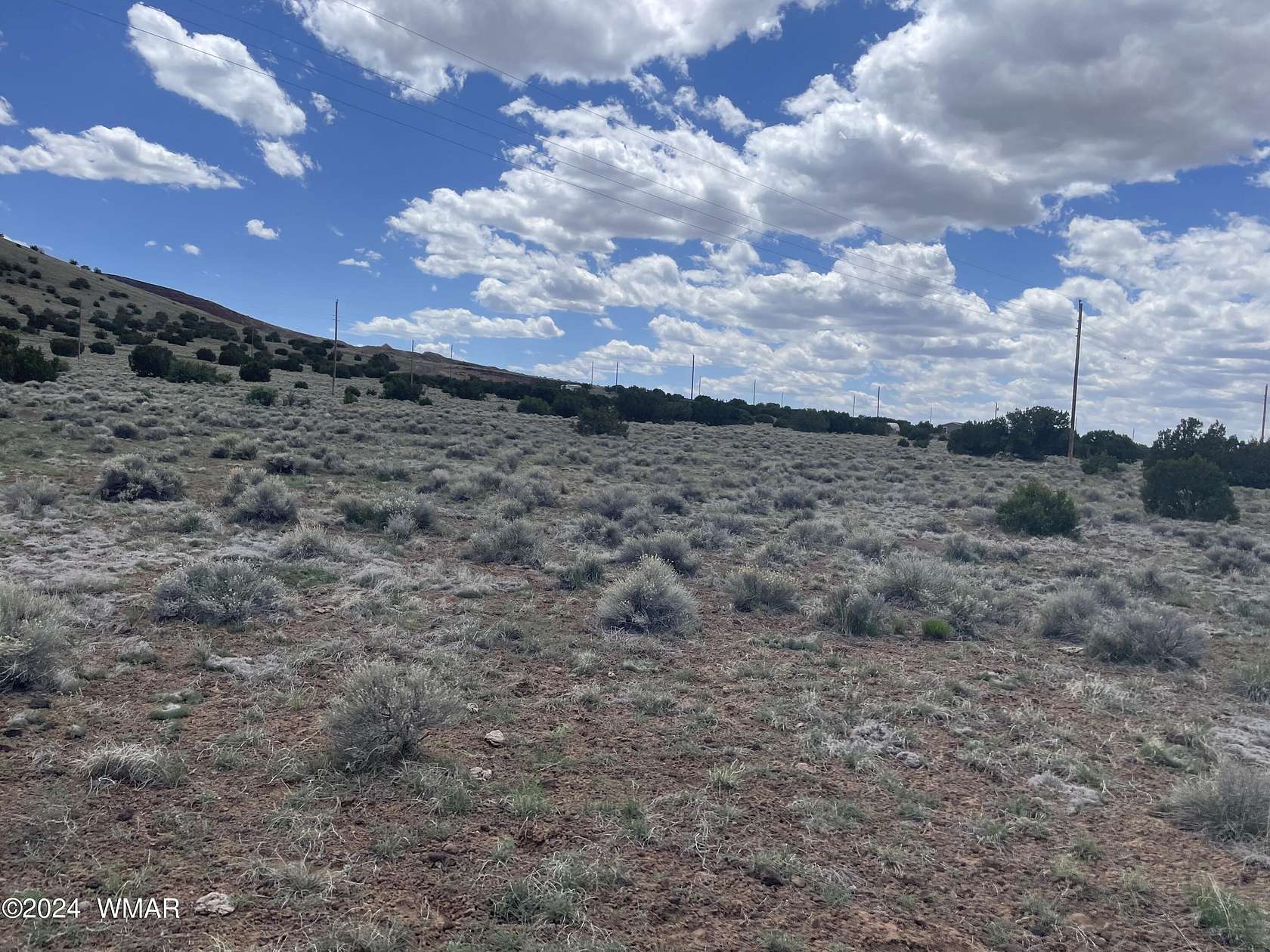 0.24 Acres of Residential Land for Sale in Concho, Arizona