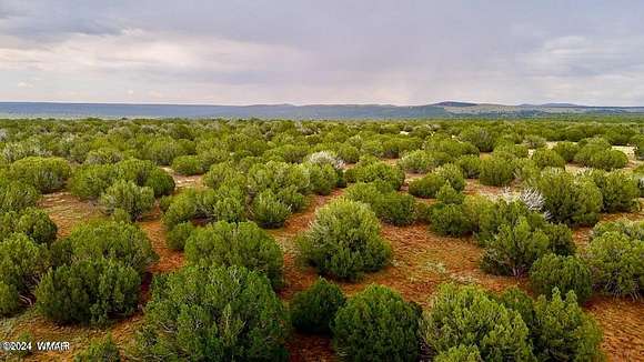 10 Acres of Residential Land for Sale in Show Low, Arizona