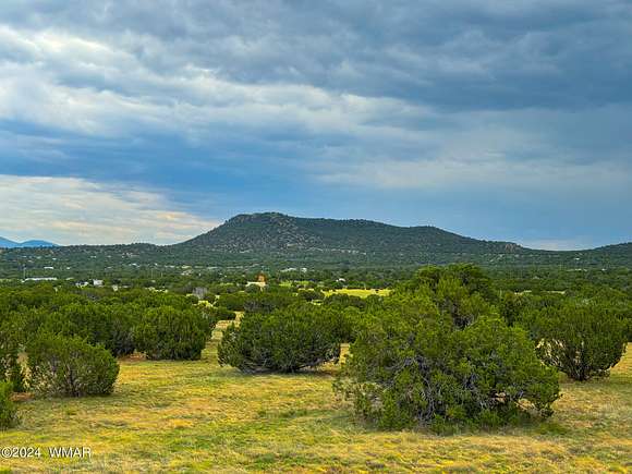 1.22 Acres of Residential Land for Sale in Concho, Arizona