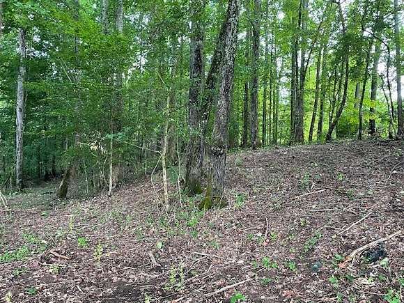 1.103 Acres of Residential Land for Sale in McMinnville, Tennessee