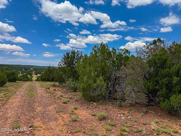 1.12 Acres of Residential Land for Sale in Concho, Arizona