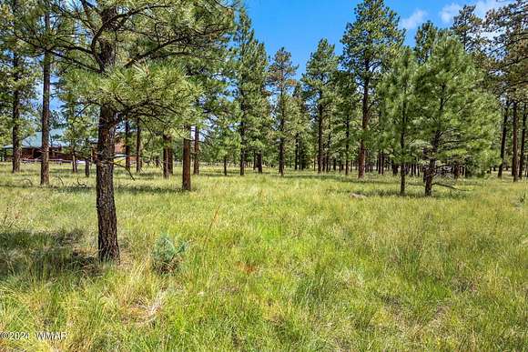 1.04 Acres of Residential Land for Sale in Greer, Arizona