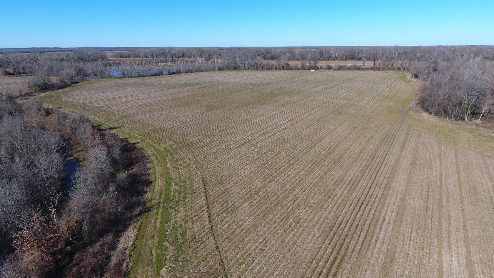 60 Acres of Agricultural Land for Sale in Parkdale, Arkansas