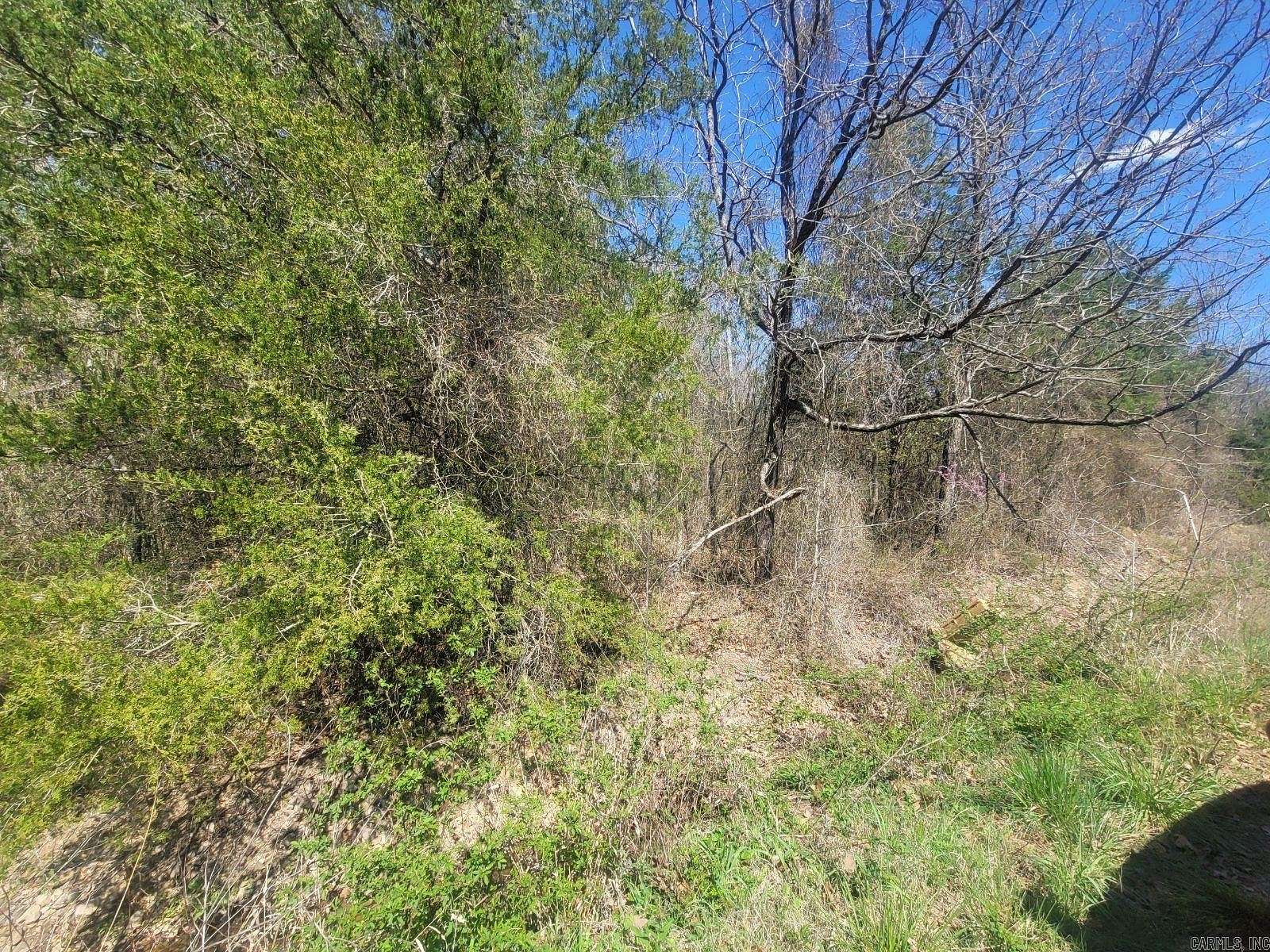 5 Acres of Land for Sale in Hartford, Arkansas