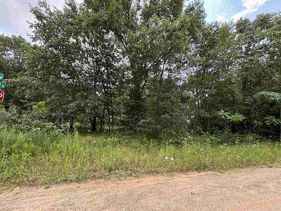 0.46 Acres of Residential Land for Sale in Lake, Michigan