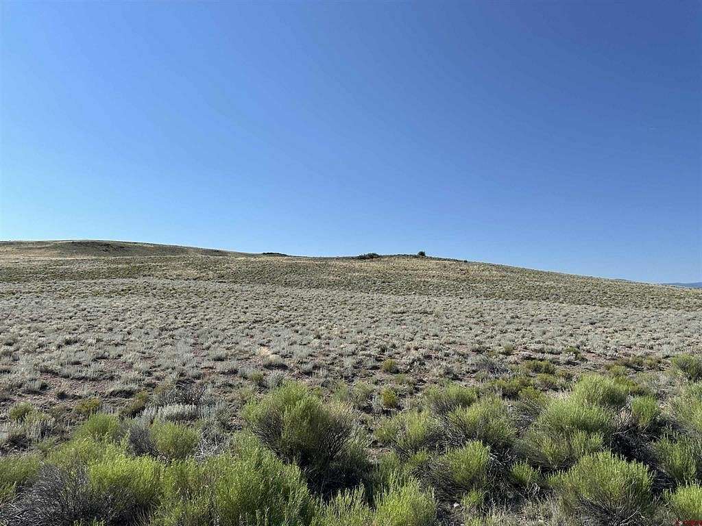 40 Acres of Agricultural Land for Sale in Del Norte, Colorado