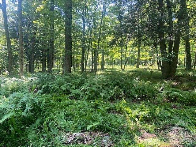 11.52 Acres of Recreational Land for Sale in Lexington, New York