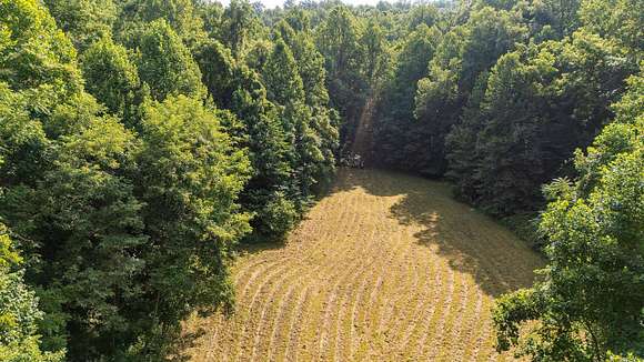 114.84 Acres of Recreational Land & Farm for Sale in Afton, Virginia