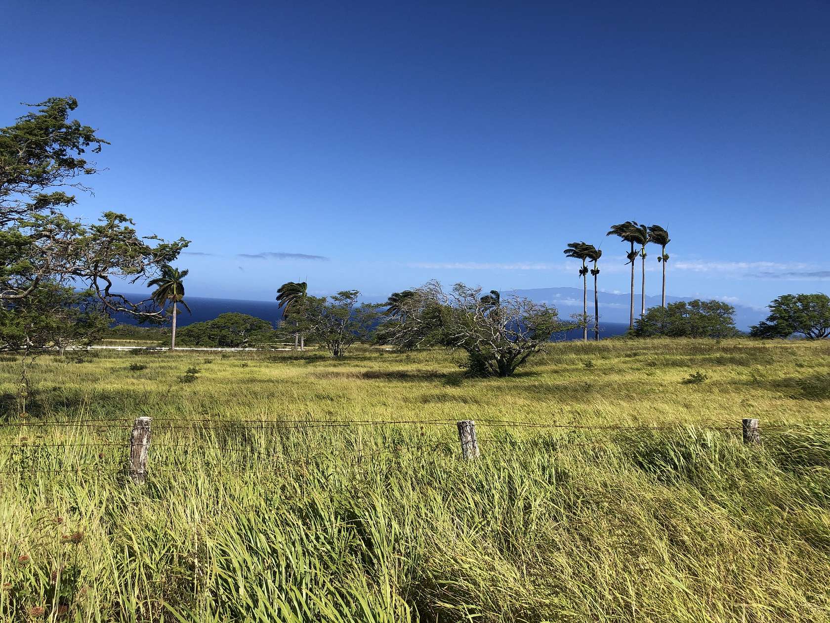 10 Acres of Land for Sale in Hawi, Hawaii - LandSearch