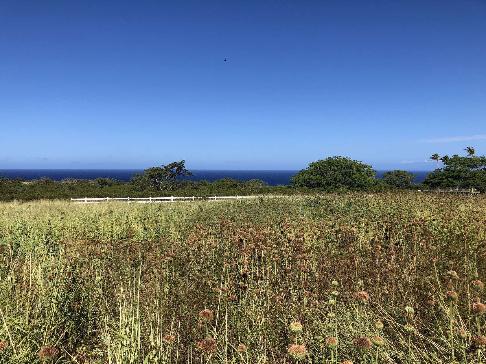 10.003 Acres of Land for Sale in Hawi, Hawaii