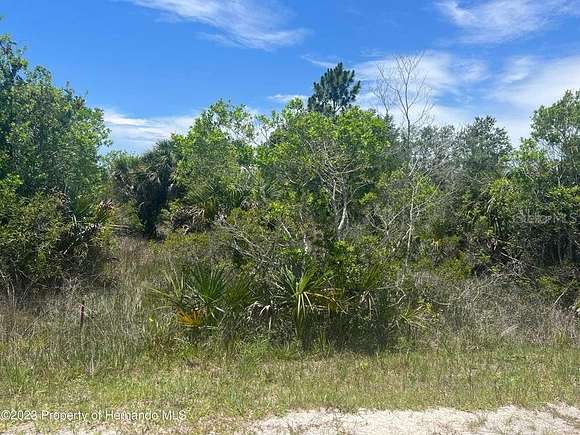 1.16 Acres of Residential Land for Sale in Weeki Wachee, Florida