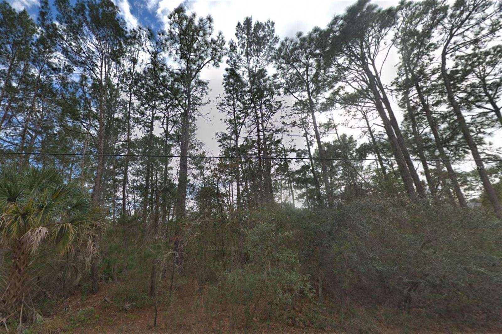 1.81 Acres of Land for Sale in Weeki Wachee, Florida