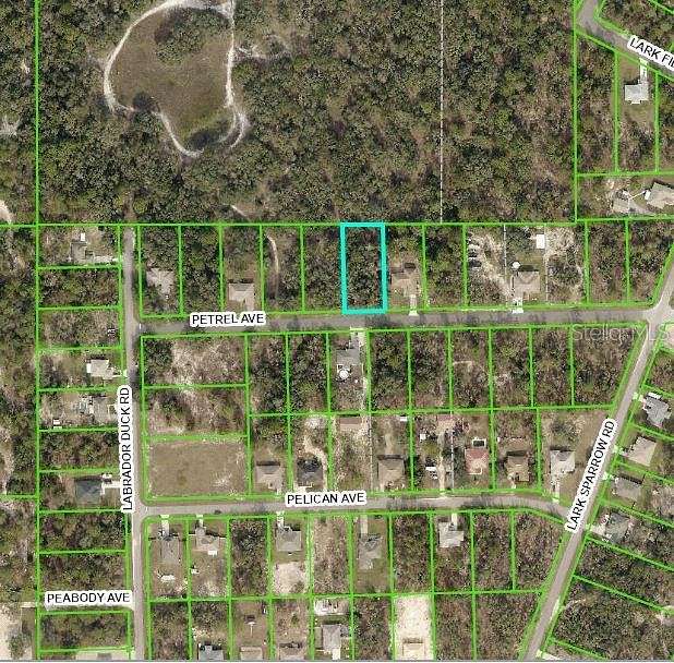 0.49 Acres of Residential Land for Sale in Weeki Wachee, Florida