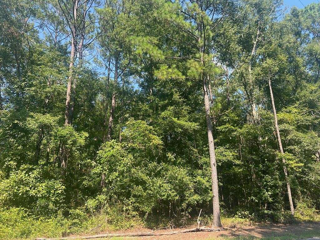 7 Acres of Residential Land for Sale in Abbeville, Alabama