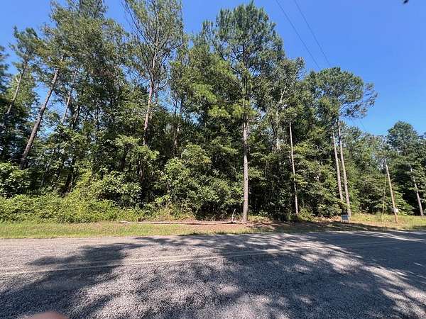 7 Acres of Residential Land for Sale in Abbeville, Alabama