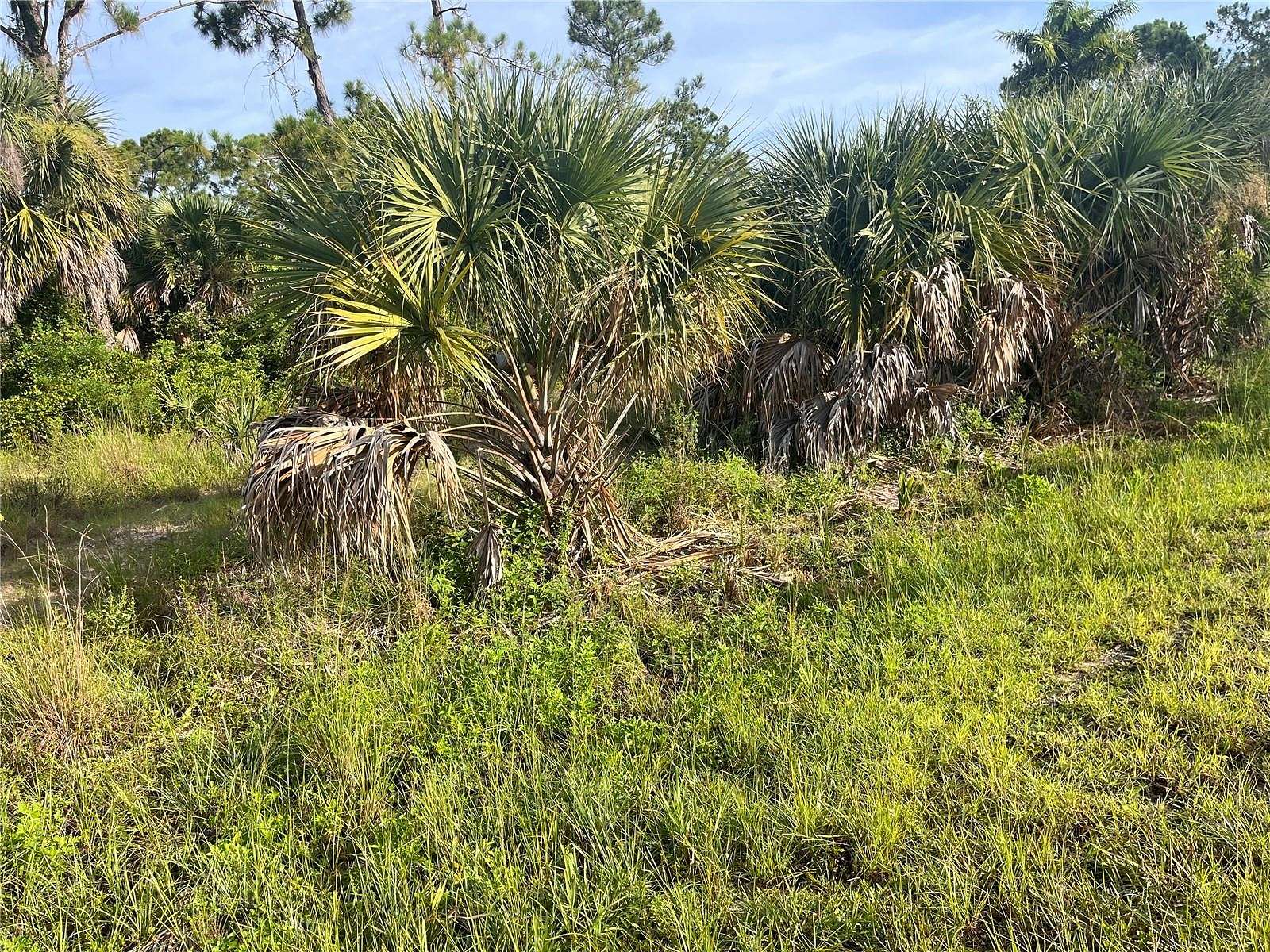 0.23 Acres of Residential Land for Sale in North Port, Florida