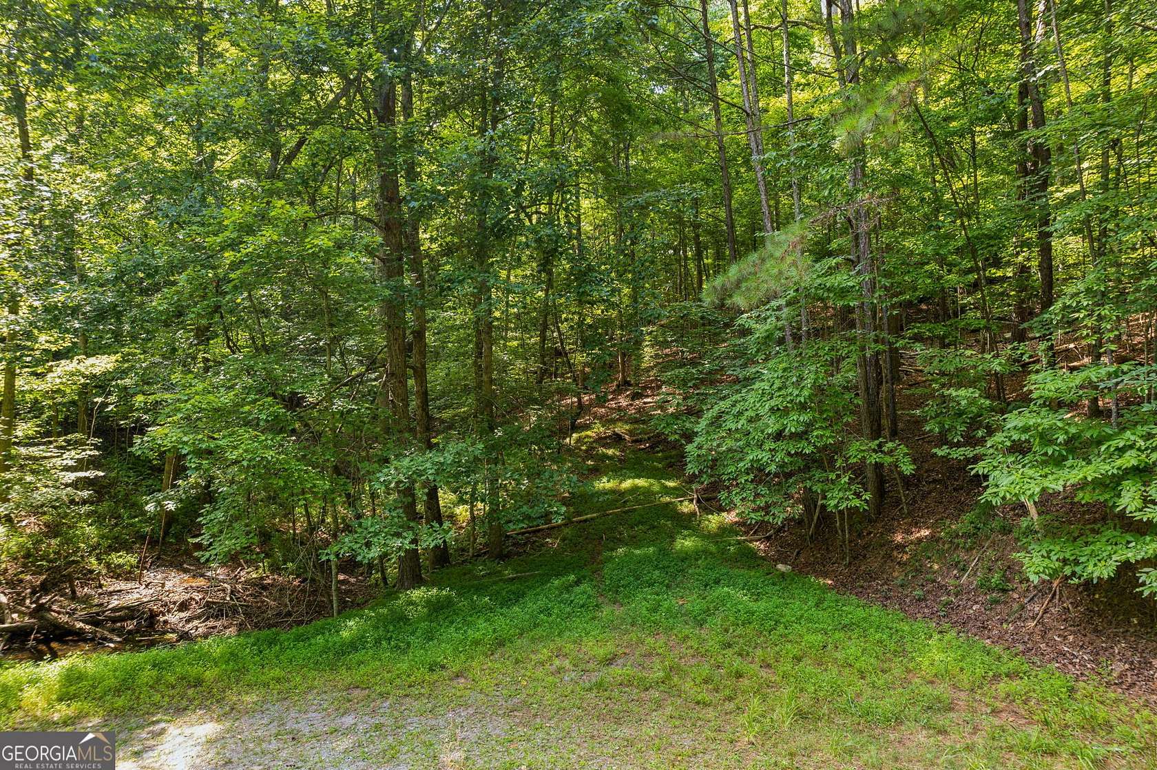 0.53 Acres of Residential Land for Sale in Ellijay, Georgia