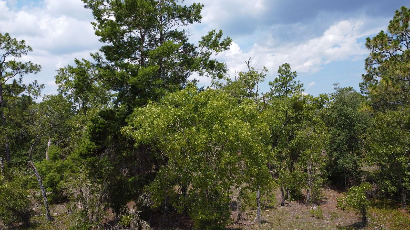 0.22 Acres of Residential Land for Sale in Interlachen, Florida