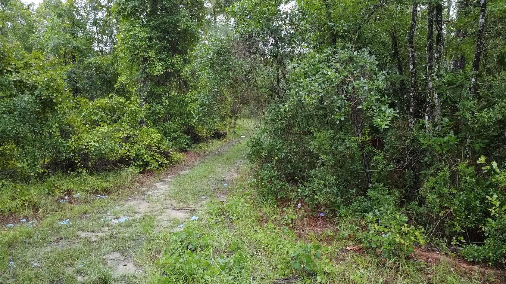 0.23 Acres of Residential Land for Sale in Satsuma, Florida