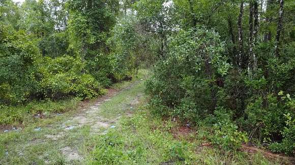 0.23 Acres of Residential Land for Sale in Satsuma, Florida