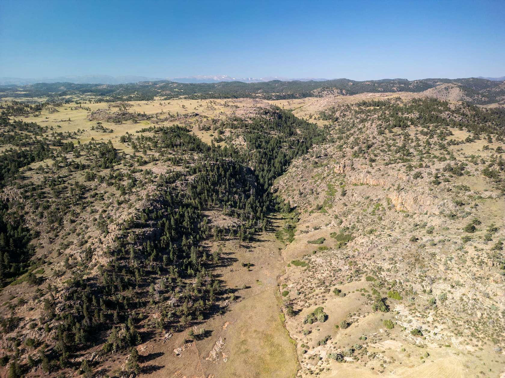 98.76 Acres of Recreational Land for Sale in Livermore, Colorado