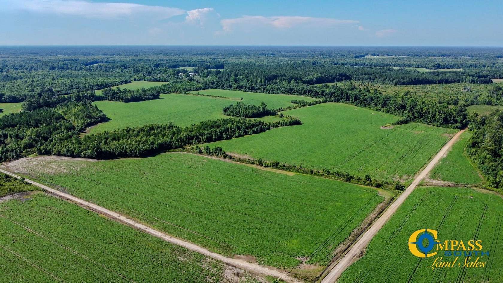 1,336 Acres of Land for Sale in Timmonsville, South Carolina