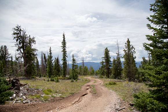 25.08 Acres of Recreational Land for Sale in Creede, Colorado