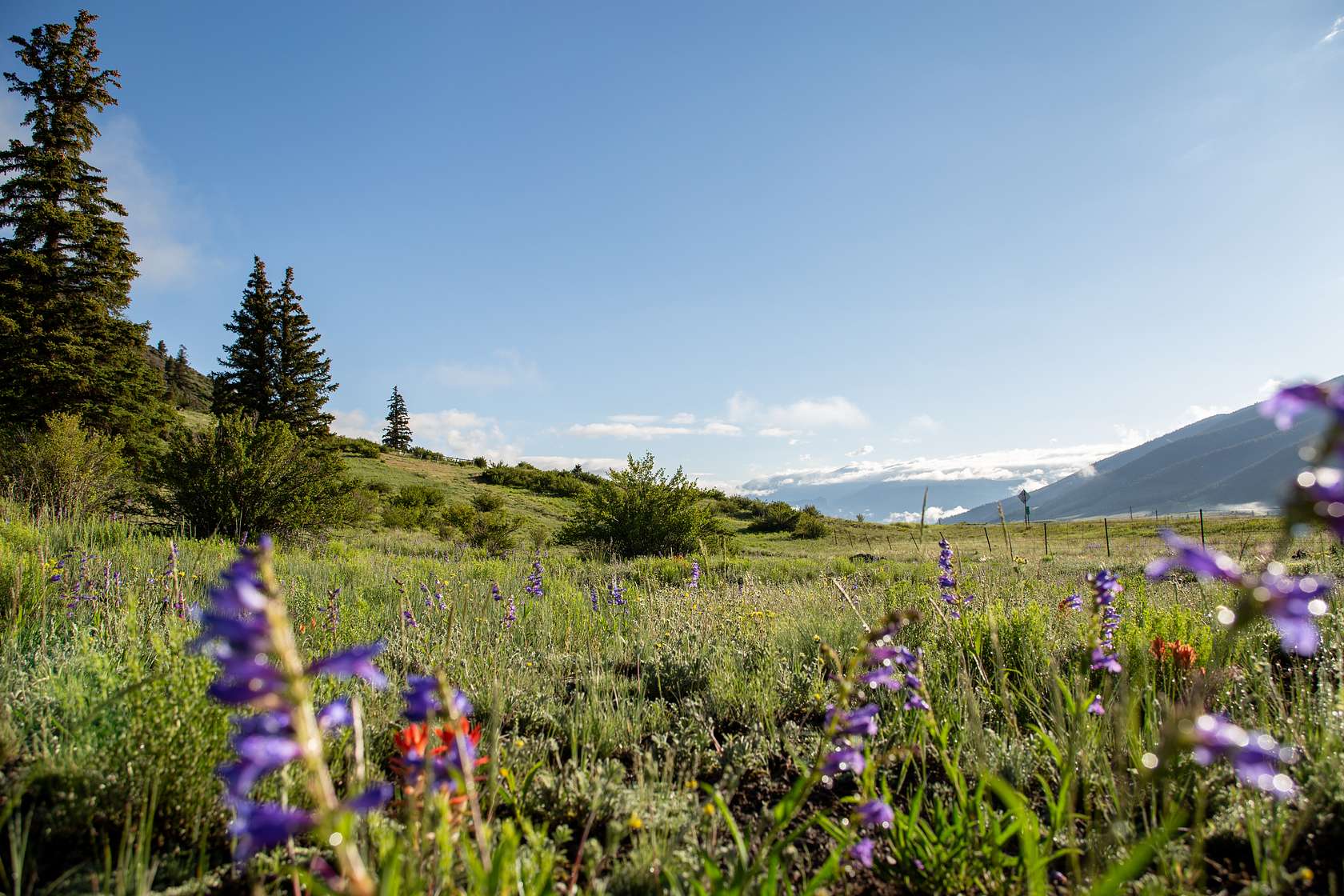 16 Acres of Recreational Land for Sale in Creede, Colorado