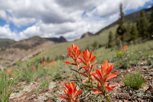 6.22 Acres of Residential Land for Sale in Creede, Colorado