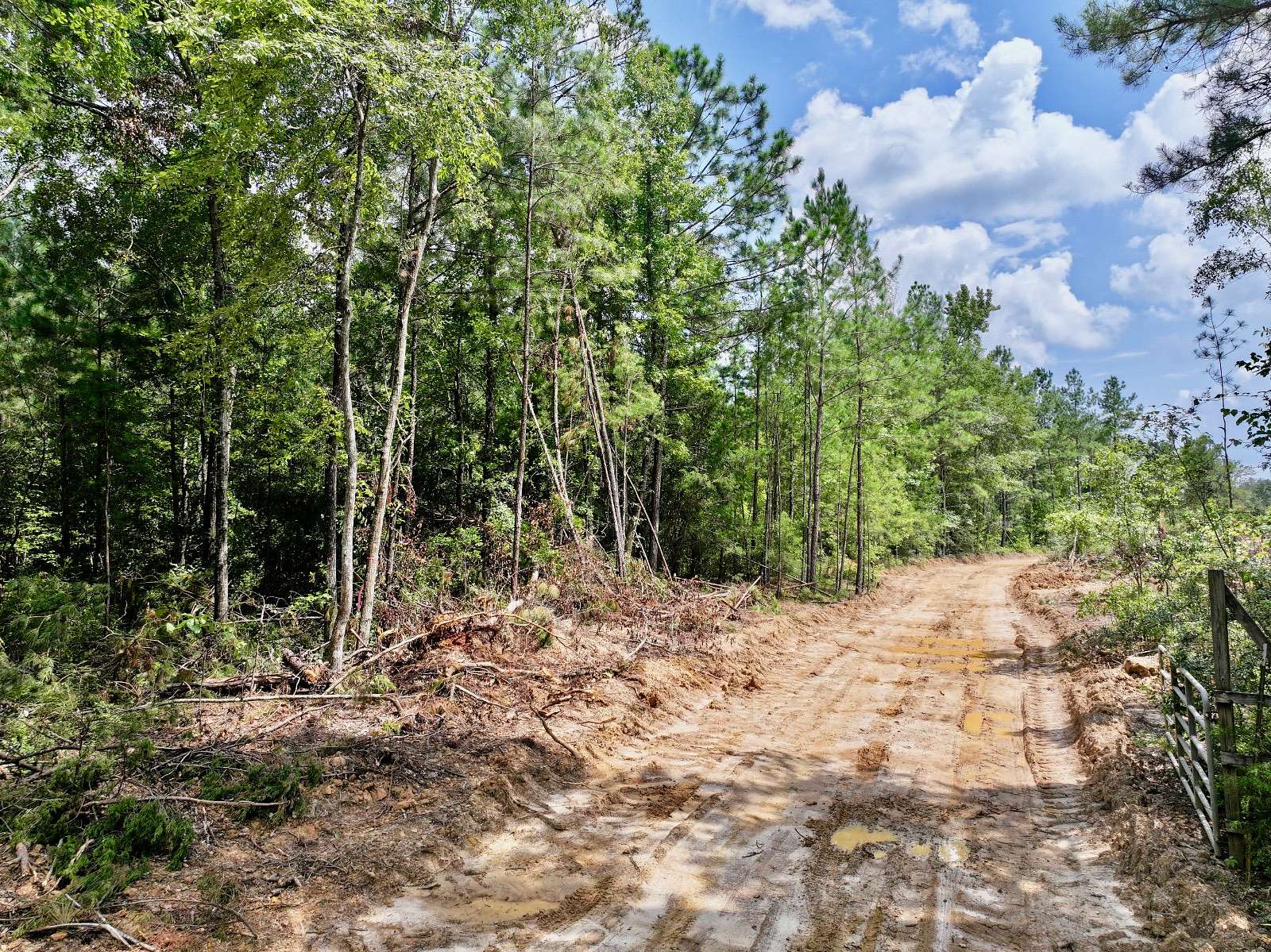 25 Acres of Land for Sale in Jackson, Alabama