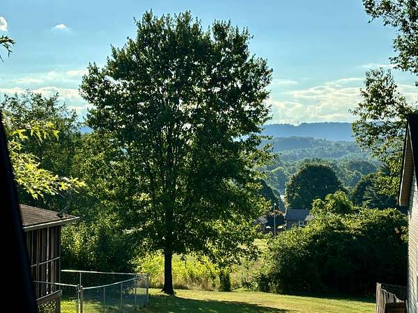 0.8 Acres of Residential Land for Sale in Rockwood, Tennessee