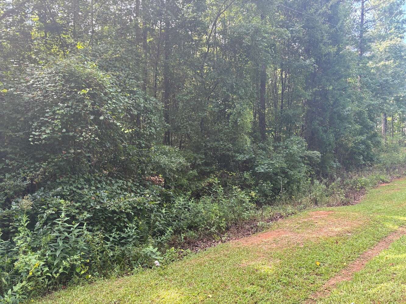 12.59 Acres of Land for Sale in Milner, Georgia