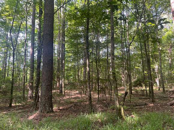 32 Acres of Land for Sale in Randolph, Alabama