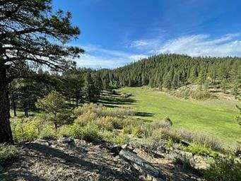 250 Acres of Recreational Land for Sale in Pagosa Springs, Colorado