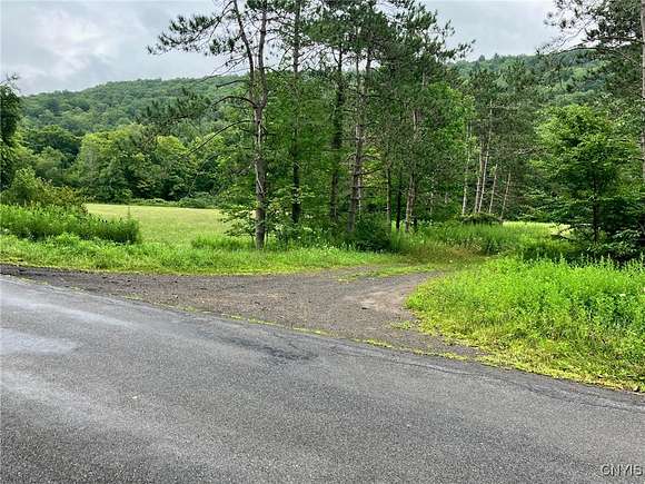 15.4 Acres of Land for Sale in Deposit, New York