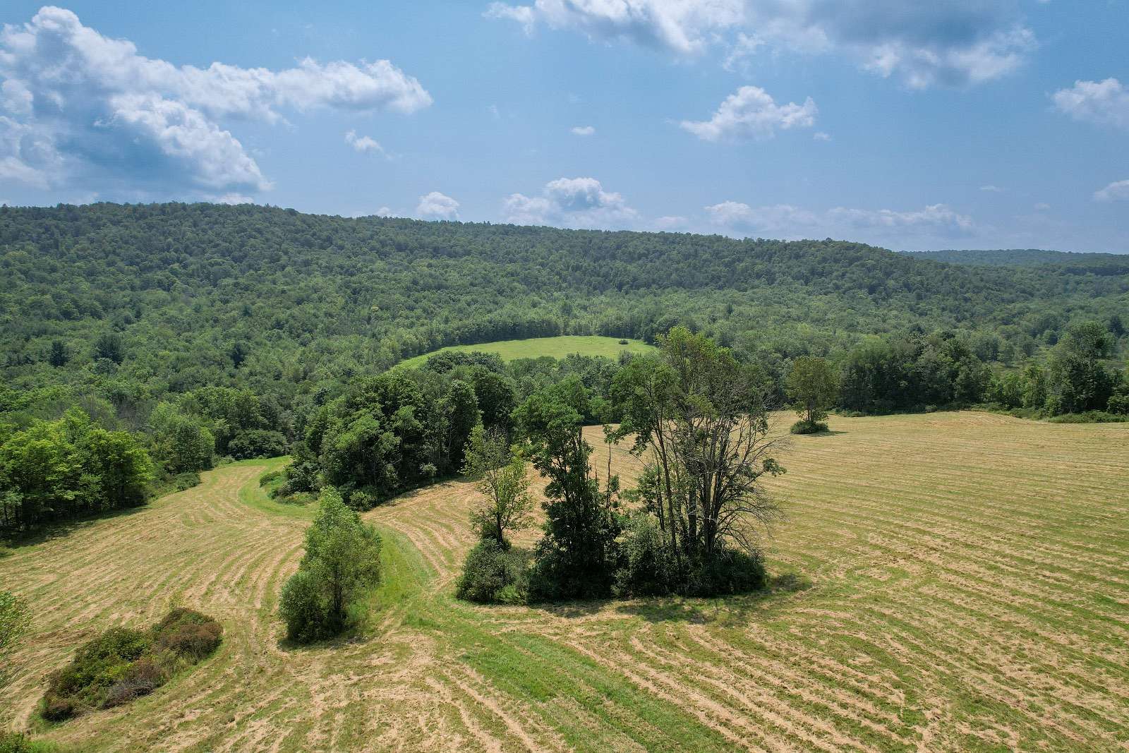 141 Acres of Land for Sale in Windsor, New York