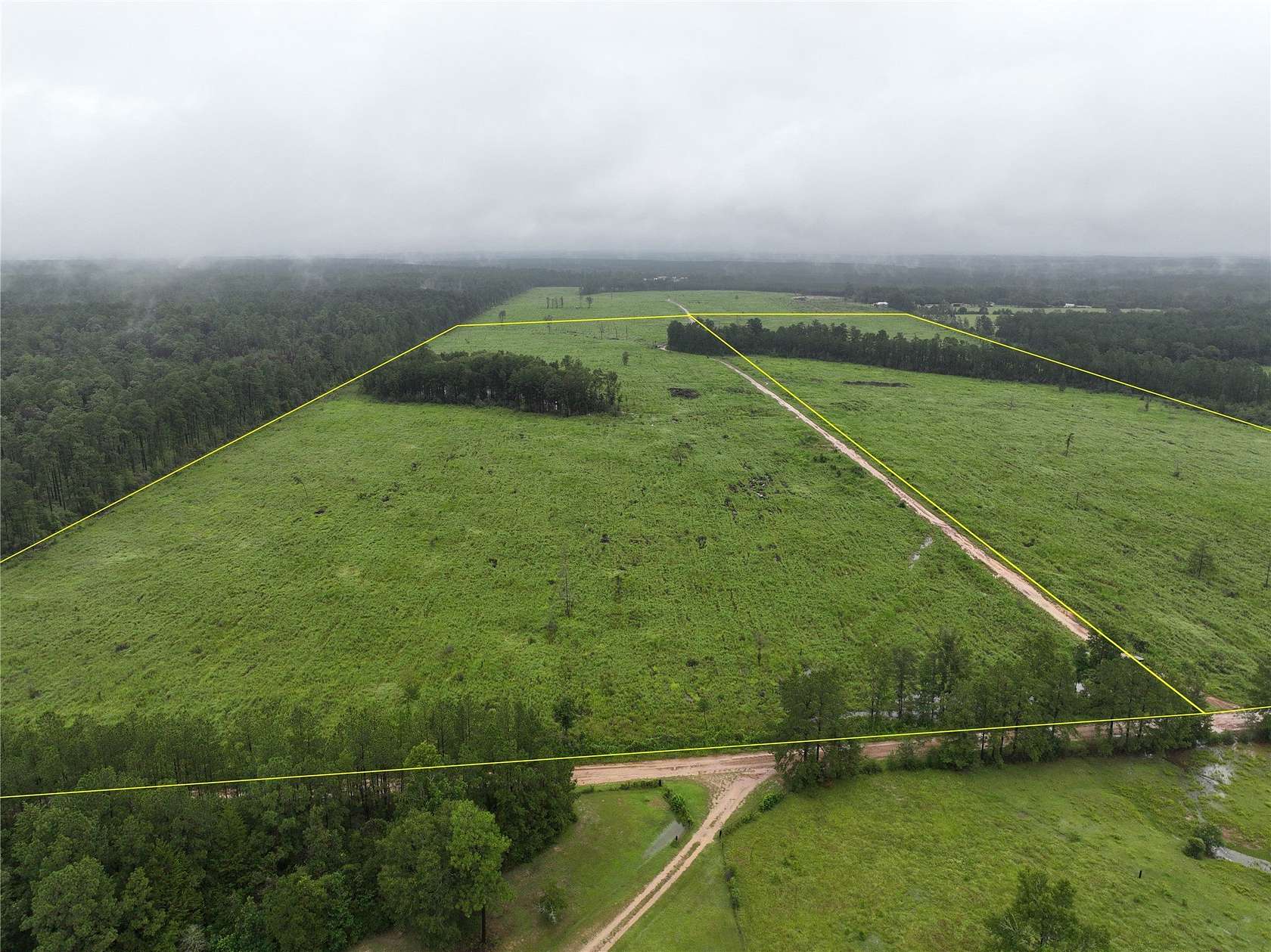 41 Acres of Recreational Land for Sale in Livingston, Texas