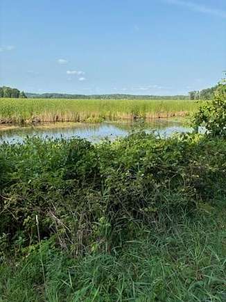 0.3 Acres of Land for Sale in Rodney, Michigan