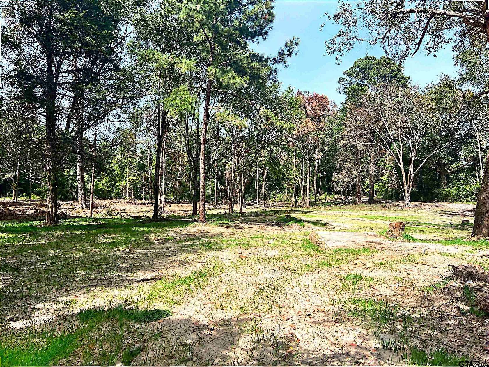 2.77 Acres of Residential Land for Sale in Overton, Texas