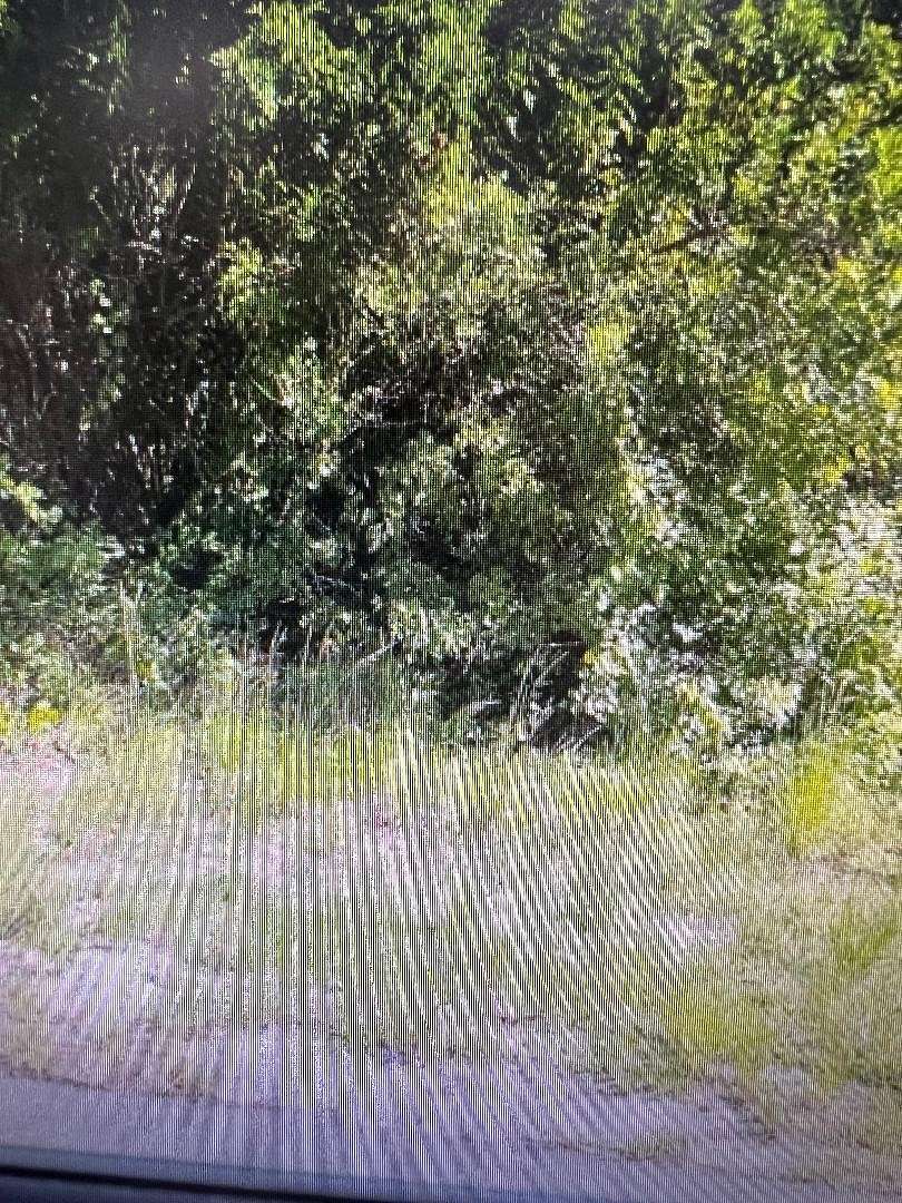 0.23 Acres of Residential Land for Sale in Palm Bay, Florida